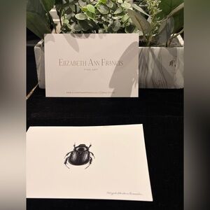 🌙 CH-6 Elizabeth Ann Francis Tomarus relictous beetle Fine Art Print